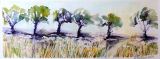 51 - Liz Symonds - Through The Olive Grove - Watercolour.jpg